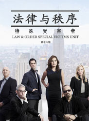 法律与秩序特殊受害者第十六季第6集