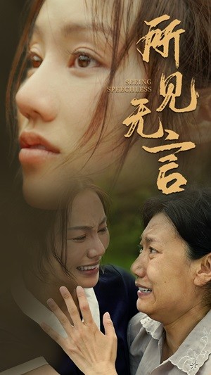 所见无言合集版